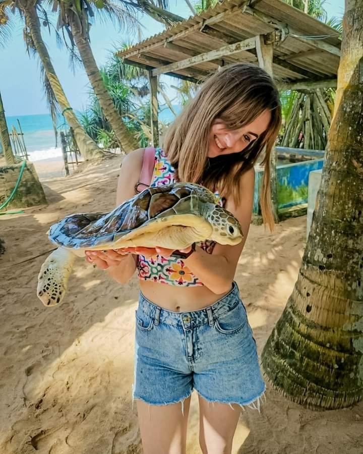 Ceylon Serenity Villas Beruwala Εξωτερικό φωτογραφία
